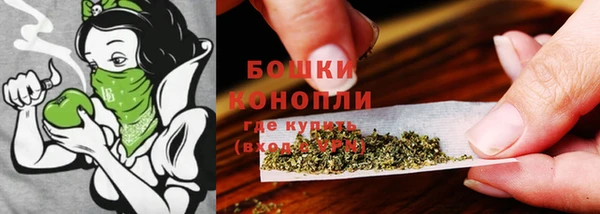 гидропоника Новозыбков