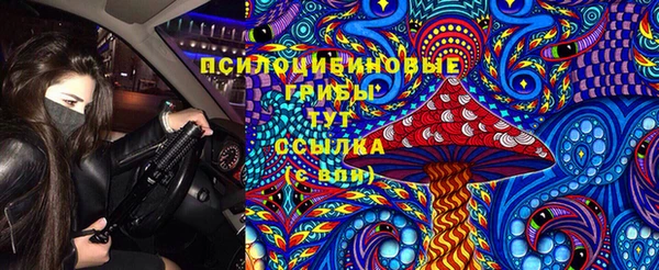 прущий лед Абаза