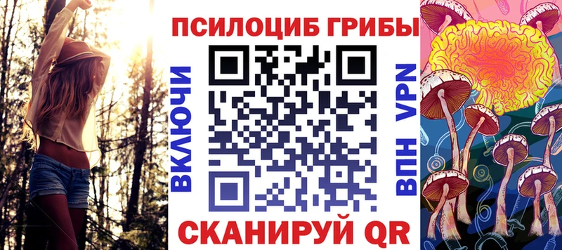 как найти наркотики Шарья Псилоцибиновые грибы MAGIC MUSHROOMS